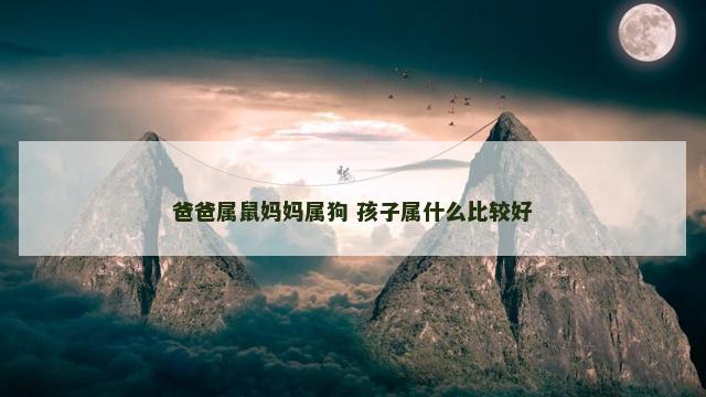 爸爸属鼠妈妈属狗 孩子属什么比较好