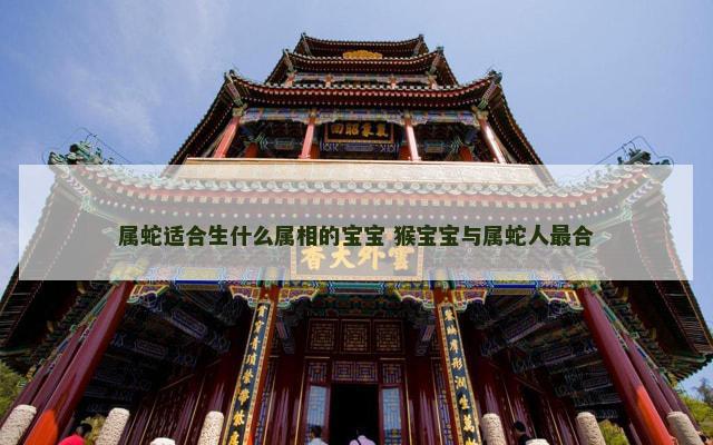 属蛇适合生什么属相的宝宝 猴宝宝与属蛇人最合