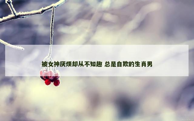 被女神厌烦却从不知趣 总是自欺的生肖男