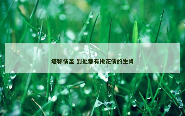 堪称情圣 到处都有桃花债的生肖