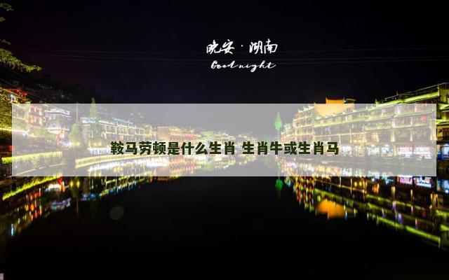 鞍马劳顿是什么生肖 生肖牛或生肖马