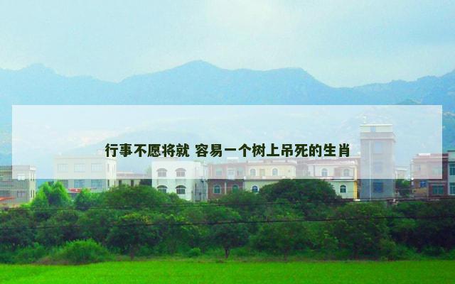 行事不愿将就 容易一个树上吊死的生肖