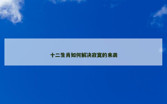 十二生肖如何解决寂寞的来袭