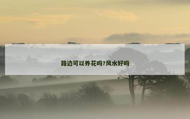 路边可以养花吗?风水好吗