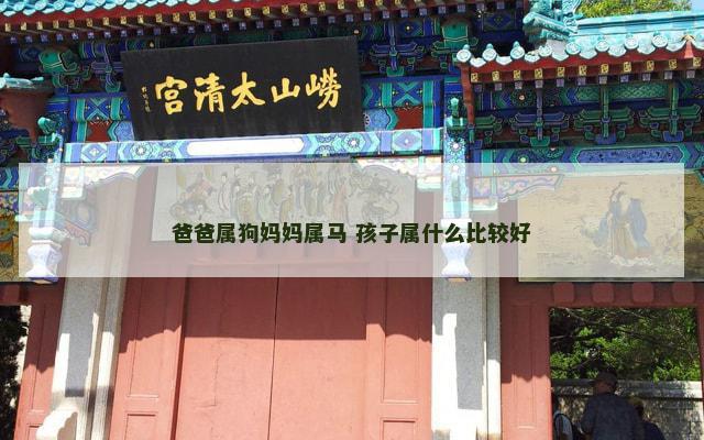 爸爸属狗妈妈属马 孩子属什么比较好