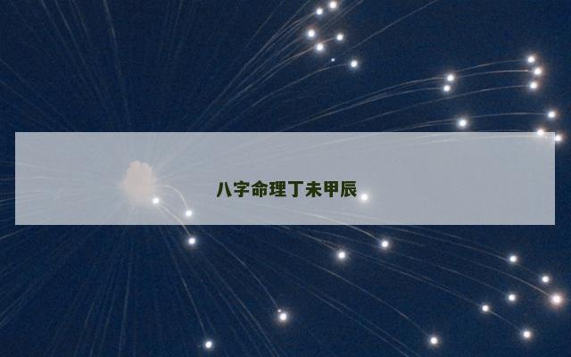 八字命理丁未甲辰