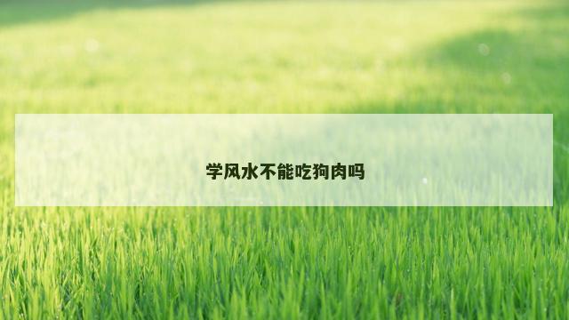 学风水不能吃狗肉吗