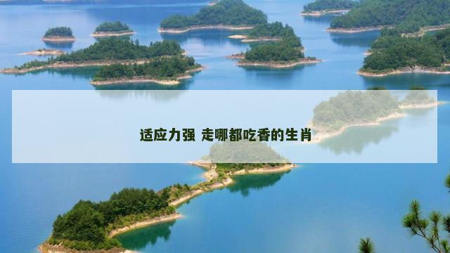 适应力强 走哪都吃香的生肖