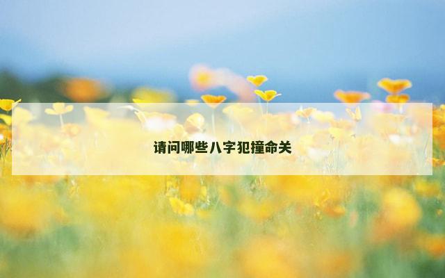 请问哪些八字犯撞命关
