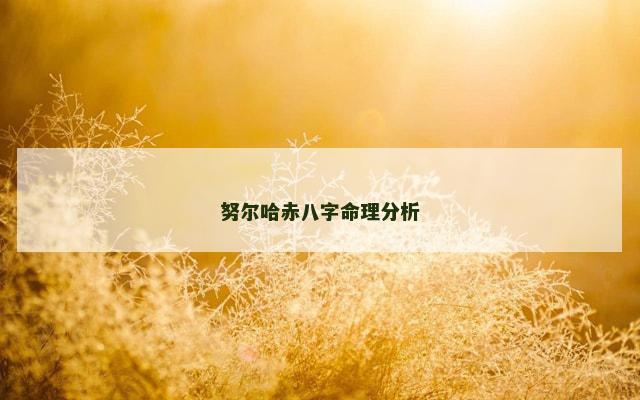 努尔哈赤八字命理分析