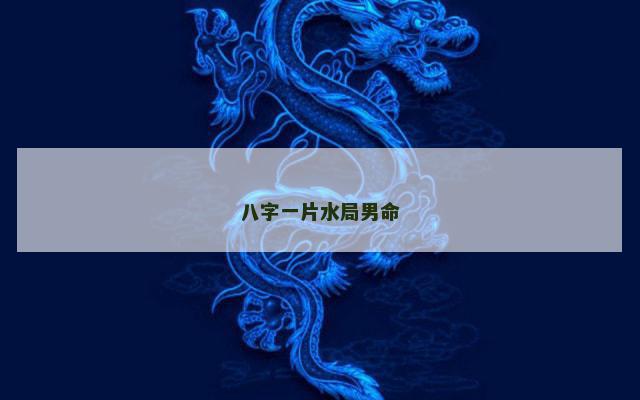 八字一片水局男命
