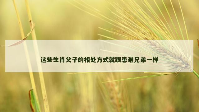 这些生肖父子的相处方式就跟患难兄弟一样