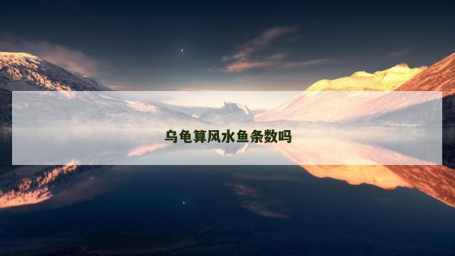 乌龟算风水鱼条数吗