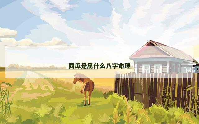 西瓜是属什么八字命理