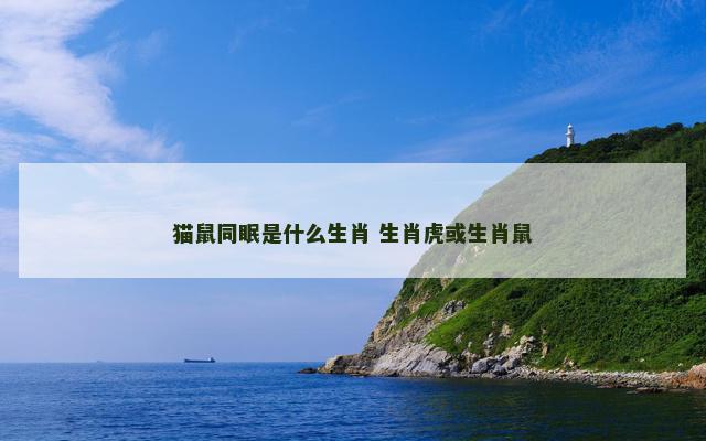猫鼠同眠是什么生肖 生肖虎或生肖鼠