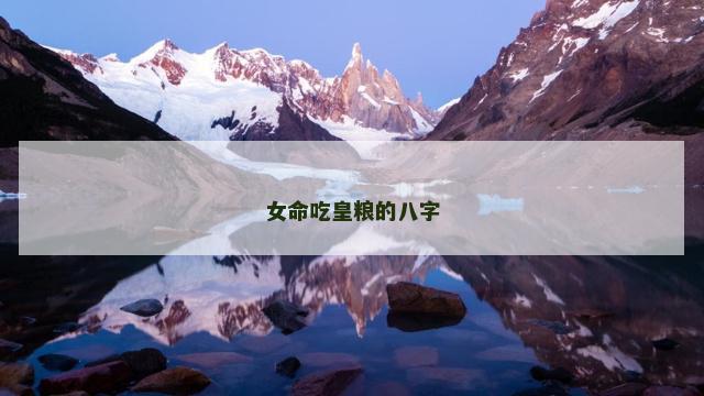 女命吃皇粮的八字