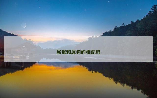 属猴和属狗的相配吗