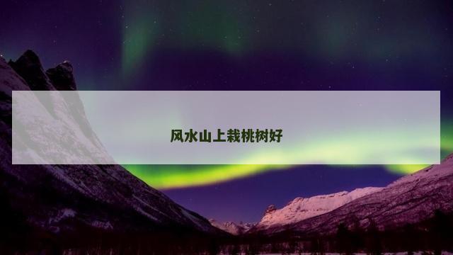 风水山上栽桃树好