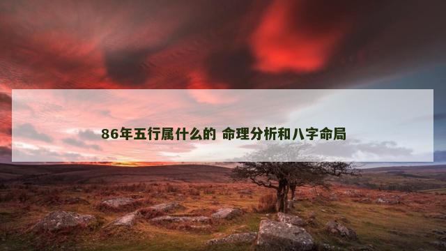 86年五行属什么的 命理分析和八字命局