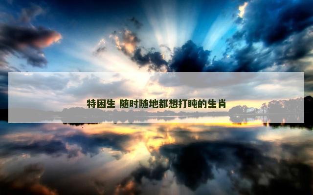 特困生 随时随地都想打盹的生肖