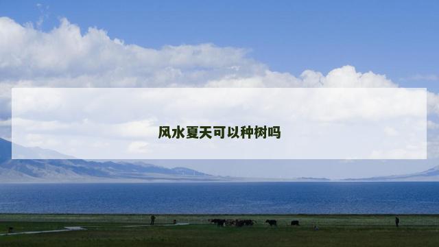 风水夏天可以种树吗