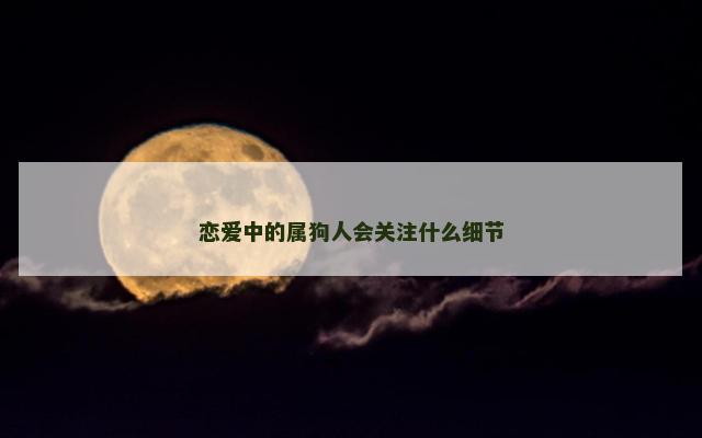 恋爱中的属狗人会关注什么细节