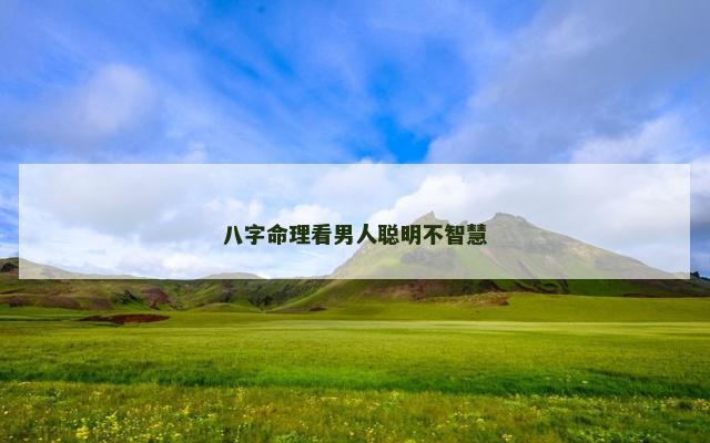 八字命理看男人聪明不智慧