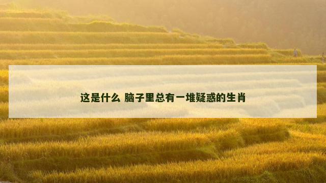 这是什么 脑子里总有一堆疑惑的生肖
