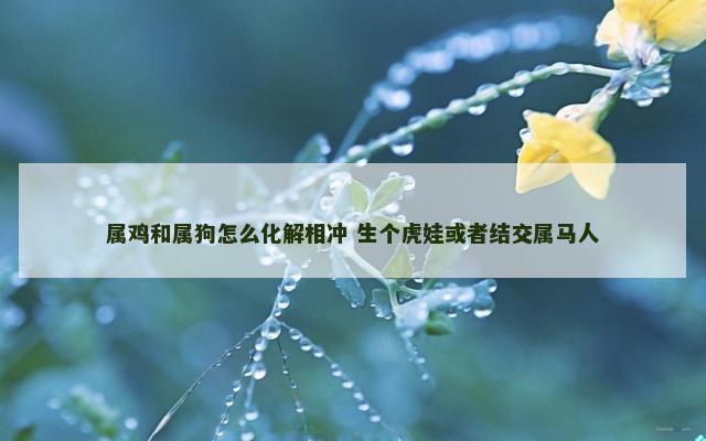 属鸡和属狗怎么化解相冲 生个虎娃或者结交属马人