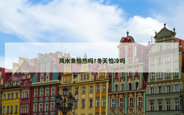 风水鱼怕热吗?冬天怕冷吗