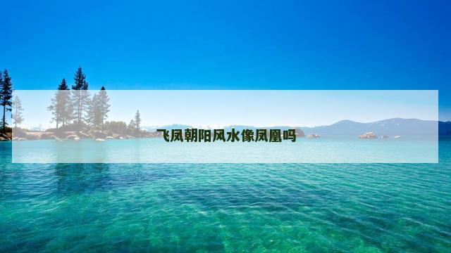 飞凤朝阳风水像凤凰吗