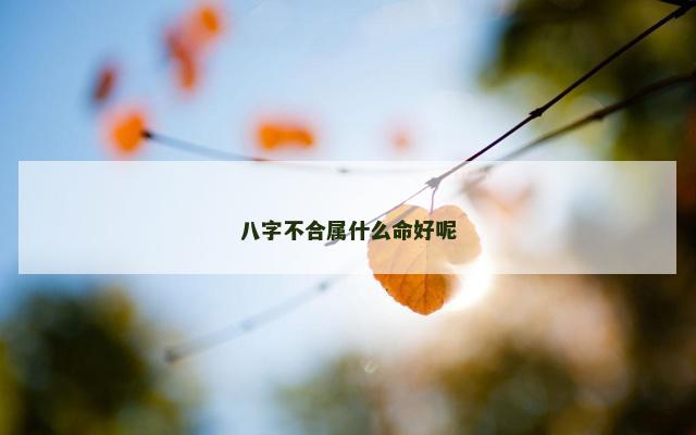 八字不合属什么命好呢