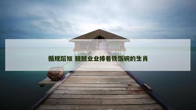 循规蹈矩 兢兢业业捧着铁饭碗的生肖