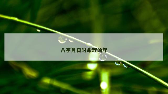 八字月日时命理凶年