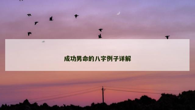 成功男命的八字例子详解