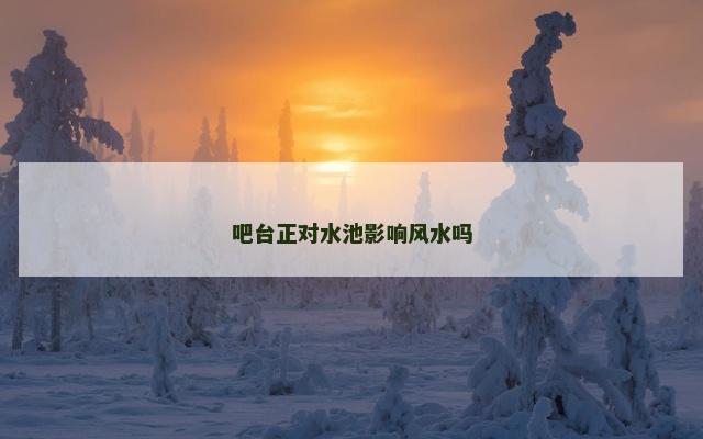 吧台正对水池影响风水吗