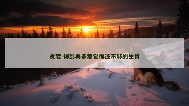 贪婪 得到再多都觉得还不够的生肖