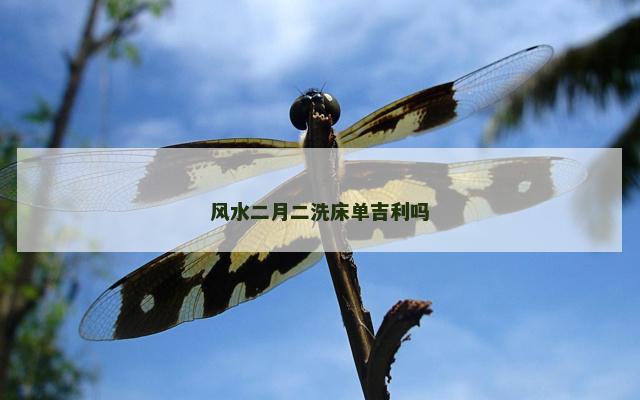 风水二月二洗床单吉利吗