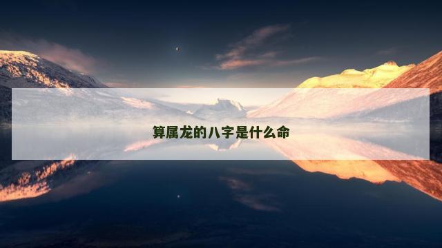算属龙的八字是什么命