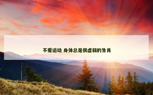 不爱运动 身体总是很虚弱的生肖