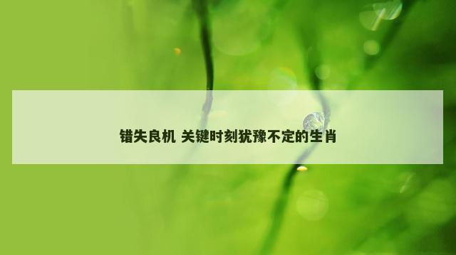 错失良机 关键时刻犹豫不定的生肖