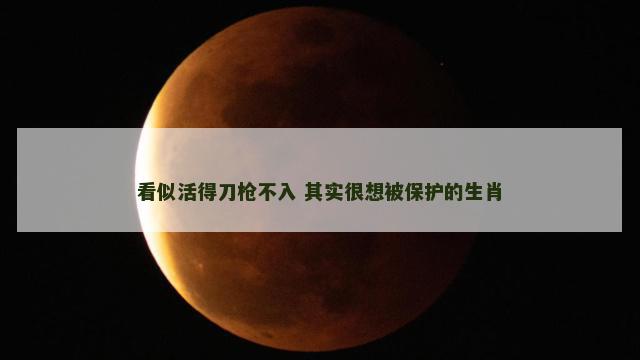 看似活得刀枪不入 其实很想被保护的生肖