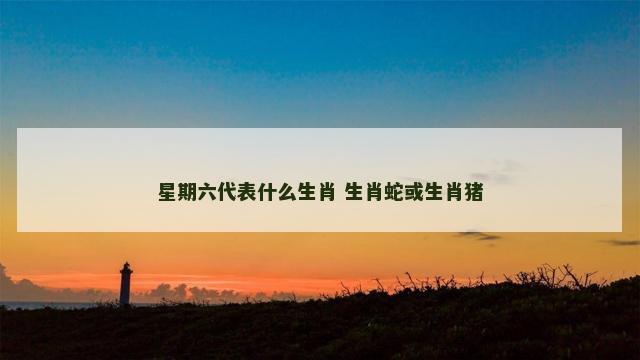 星期六代表什么生肖 生肖蛇或生肖猪