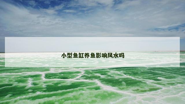 小型鱼缸养鱼影响风水吗