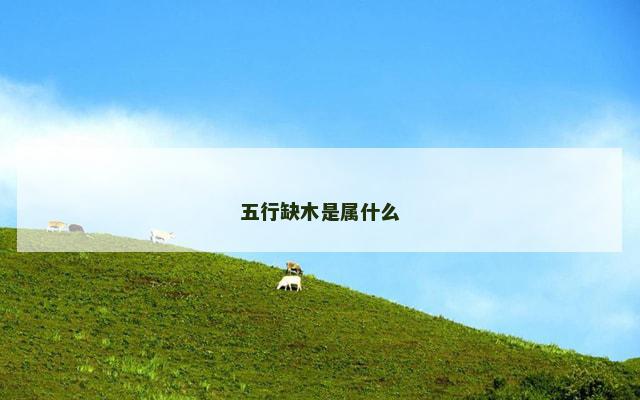 五行缺木是属什么