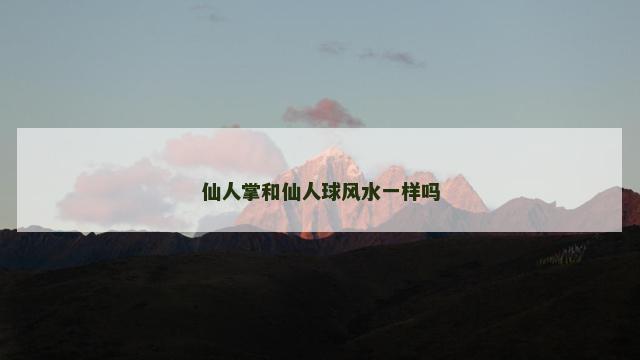 仙人掌和仙人球风水一样吗