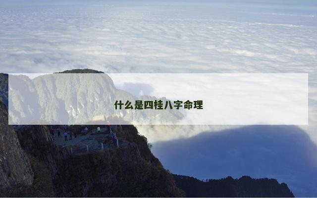 什么是四桂八字命理
