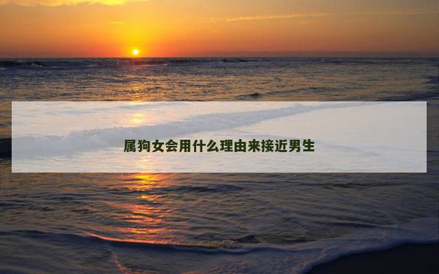 属狗女会用什么理由来接近男生