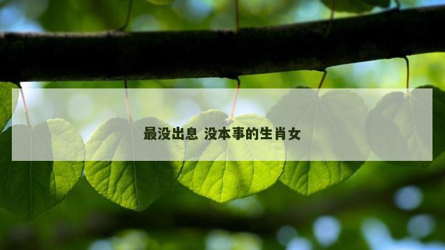 最没出息 没本事的生肖女
