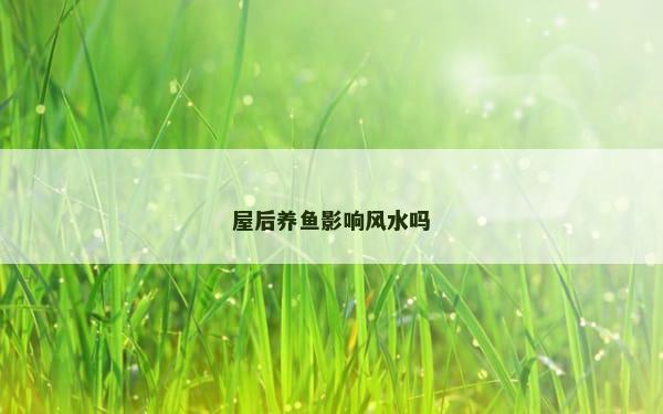 屋后养鱼影响风水吗